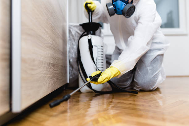 Best Pest Prevention Services  in Elk Ridge, UT