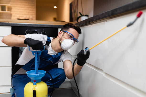 Best Residential Pest Control  in Elk Ridge, UT