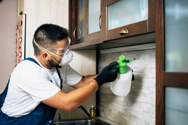 Best Exterminator Services  in Elk Ridge, UT