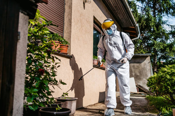 Best Emergency Pest Control  in Elk Ridge, UT