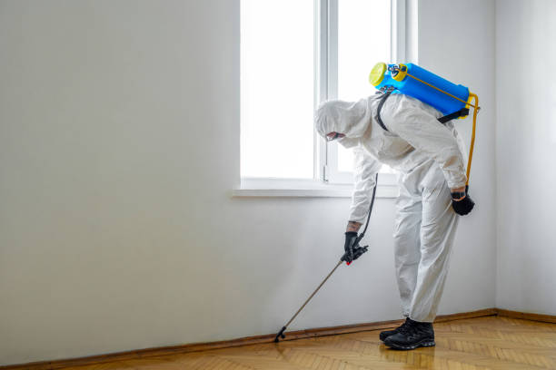 Best Affordable Pest Control Services  in Elk Ridge, UT