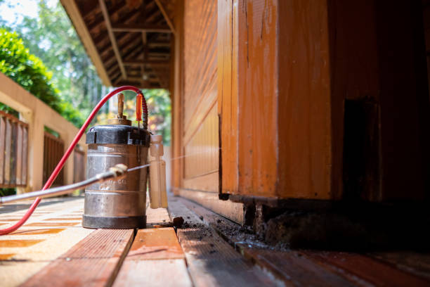 Best Mosquito Control Services  in Elk Ridge, UT